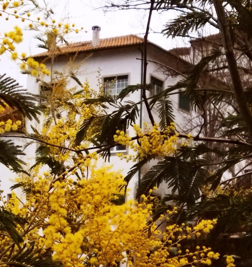 Casa Do Rio Ξενοδοχείο Termas de Sao Pedro do Sul Εξωτερικό φωτογραφία